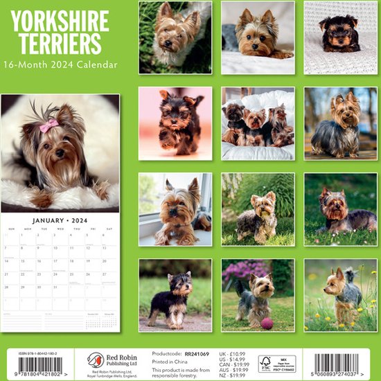 Yorkshire Terriers Kalender 2024 bol