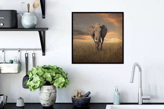 Cadre photo avec affiche - Éléphant - Animaux - Herbe - Nature - 40x40 cm - Cadre pour affiche