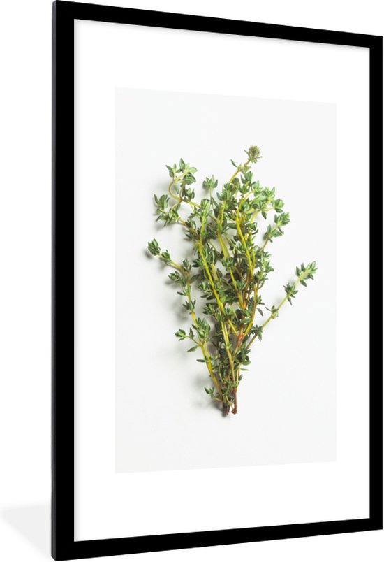 Fotolijst incl. Poster - Bosje van verse tijm kruiden op een witte achtergrond - 80x120 cm - Posterlijst