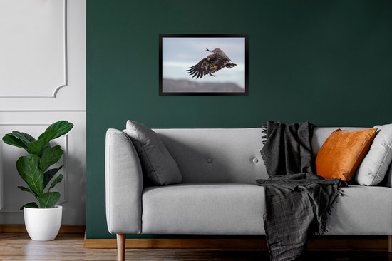 Cadre photo avec affiche - Pygargue à tête blanche attrape un poisson - 30x20 cm - Cadre pour affiche