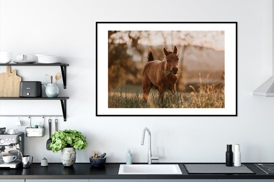 Le poulain Quarter Horse mange de l'herbe 120x80 cm