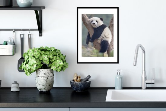 Jeune panda dort dans un arbre 30x40 cm - petit