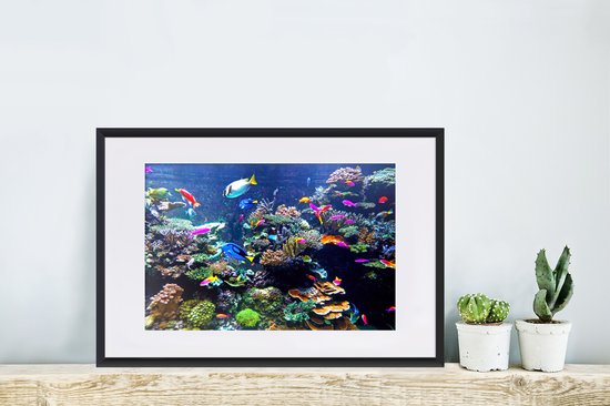 Affiche avec cadre Corail - Poisson - Aquarium - 60x40 cm
