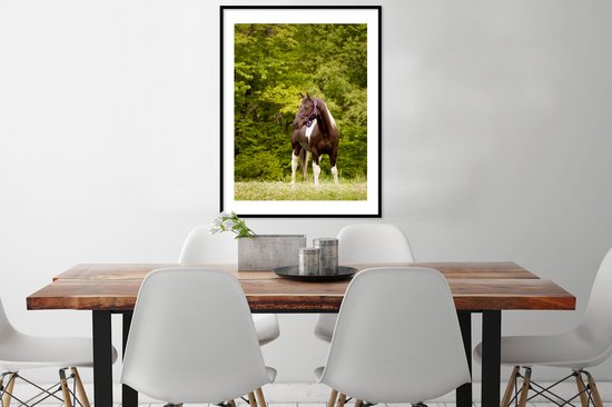 Cheval pommelé devant quelques arbres cadre photo noir avec passe-partout blanc 60x80