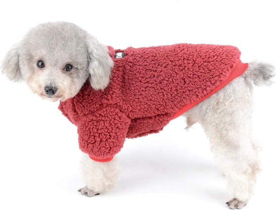 honden winterjas met tuigje. Warme kleine jas voor buiten. Gewatteerd