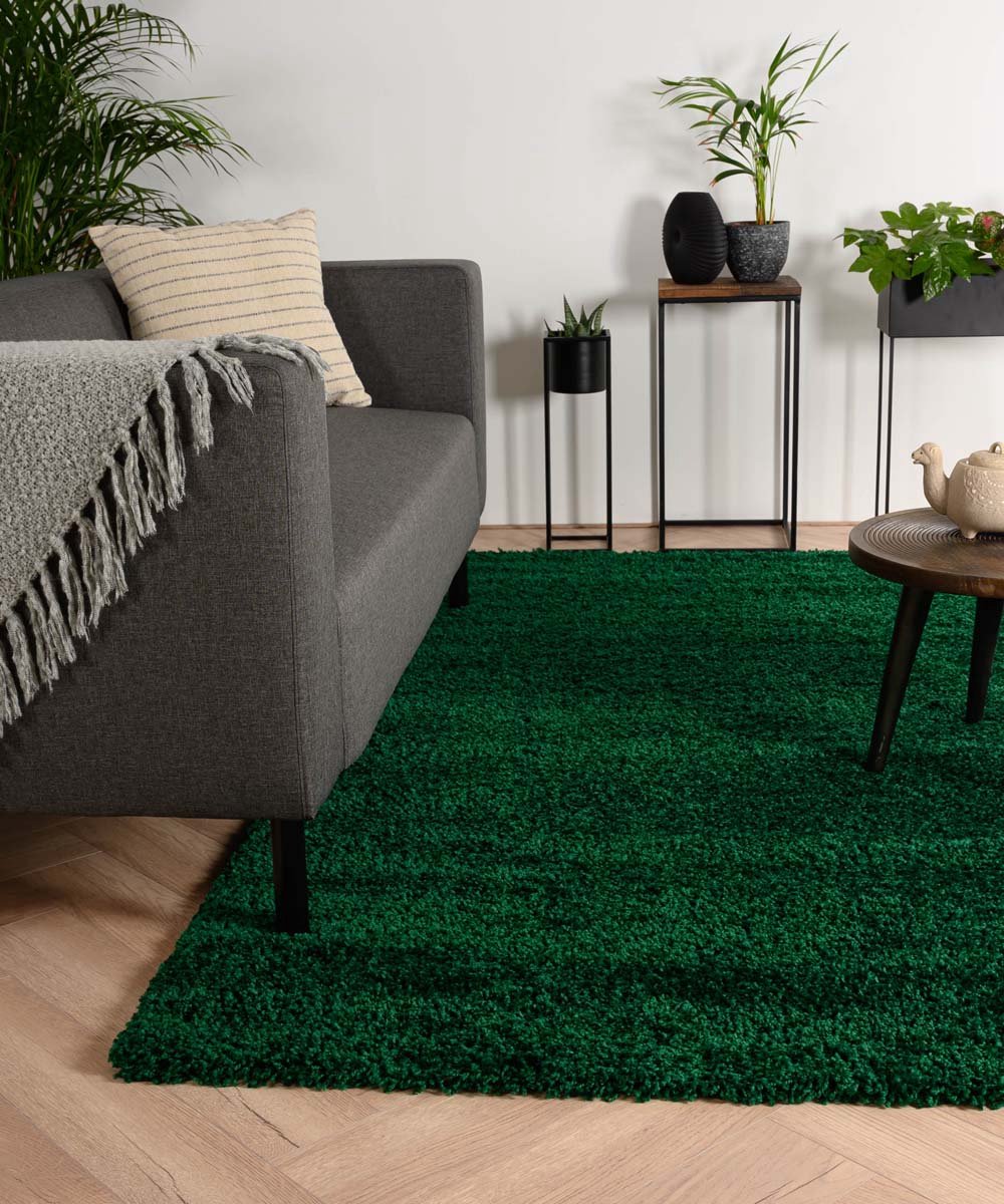 Hoogpolig vloerkleed shaggy Trend effen - jade 120x170 cm