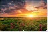 Tuinposter zonsondergang - Tuindecoratie bloemen - 120x80 cm - Tuinschilderij voor buiten - Tuindoek natuur - Wanddecoratie tuin - Schuttingdoek - Balkon decoratie - Muurdecoratie - Buitencanvas