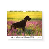 Kalender 2024 - Giant Schnauzer - 35x24cm - 300gms - Spiraalgebonden - Inclusief ophanghaak