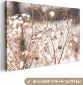 Peinture sur toile 120x80 cm - Décoration murale Fleurs séchées - Wit - Plantes - Décoration murale murale salon - Décoration chambre - Accessoires de chambre - Peintures