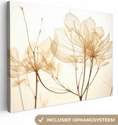 Canvas Schilderij Droogbloemen - Beige - Planten - Wit - 80x60 cm - Wanddecoratie