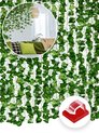 Groen 24 stuks