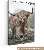 OneMillionCanvasses - Muurdecoratie - Schotse hooglander - Natuur - Herfst - Bos - 80x120 cm - Woonkamer - Slaapkamer - Canvas schilderij koe