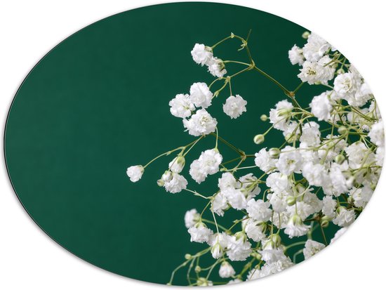 Dibond Ovaal - Kleine Witte Bloemen aan Takjes Voor Donker Groene Achtergrond - 96x72 cm Foto op Ovaal (Met Ophangsysteem)