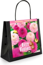 2x Dahlia 'Lovers ball' | Best Friends Bag | Dahlia's Roze | Zomerbloeiers | Meerjarige winterharde bollen | 2 Knollen