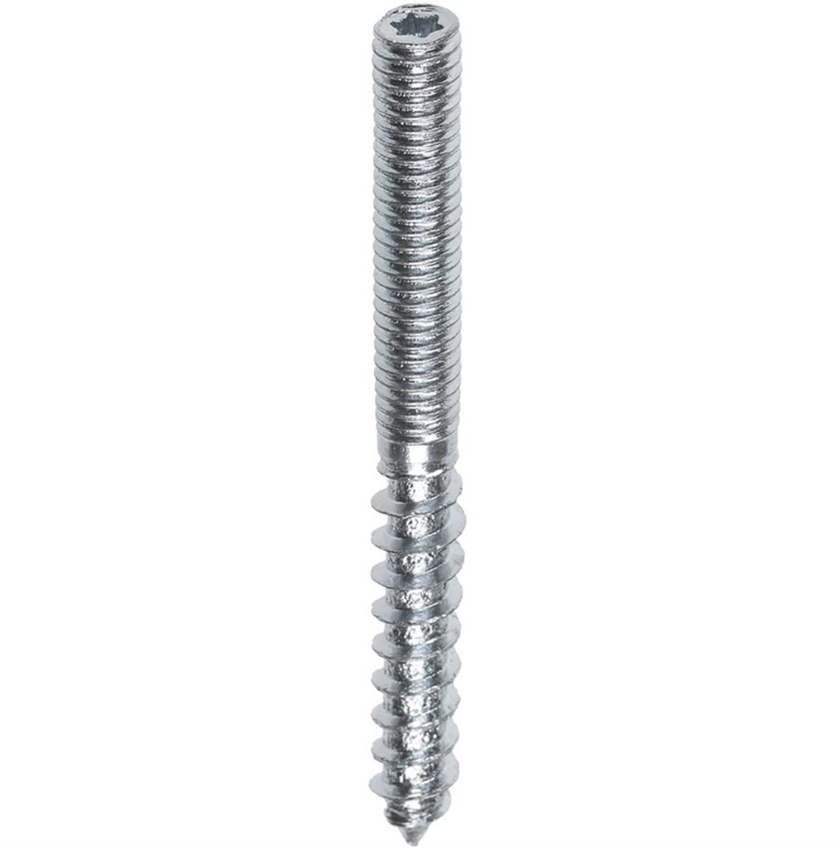 Stokeind M6X100Mm Elvz Torx15 - 100 stuks