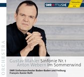 SWR Sinfonieorchester Baden-Baden Und Freiburg - Symphony No.21/Im Sommerwind (CD)