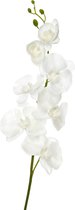 Orchidee | kunststof | wit | 12x5x (h)98 cm