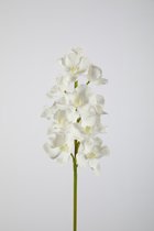 Kunstbloem - set van 2  - vanda orchidee - decoratieve tak -  70 cm - wit