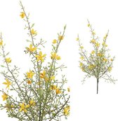 PTMD Twig Plant Bos Met Brem Bloemen - 43 x 23 x 54 cm - Groen/Geel