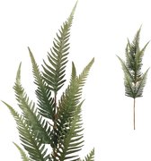 PTMD Leaves Plant Varen Kunsttak - 70 x 24 x 117 cm - Groen