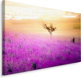 Schilderij - Eenzame Boom in een Lavendel Veld, Premium Print
