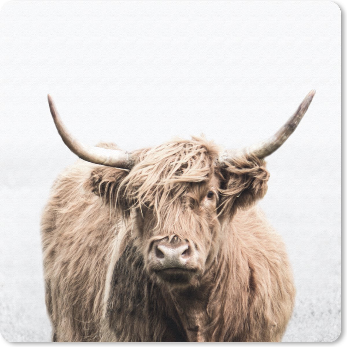 Muismat 30x30 cm - Mousepad Portret Schotse Hooglander - Dieren - Muismatten