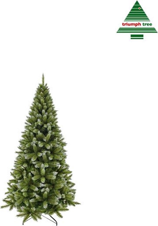 Triumph Tree Pittsburgh Kunstkerstboom - Kunst Kerstboom H120 x Ø71 cm - Groen Frosted