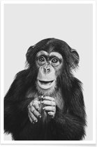 JUNIQE - Poster Chimpanzee II -20x30 /Grijs & Zwart