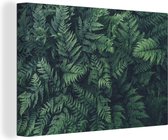 Canvas Schilderij Weergave van groene varens - 30x20 cm - Wanddecoratie