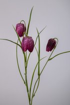 Kunstbloem - Fritillaria - topkwaliteit decoratie - 2 stuks - zijden bloem - Paars - 52 cm hoog