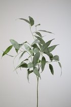 Kunsttak - Eucalyptus - topkwaliteit decoratie - 2 stuks - zijden tak - Groen - 119 cm hoog