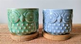 Bloempotjes - uiltjes - met schotel - blauw en lichtgroen - keramiek - set van 2 stuks - potmaat 5