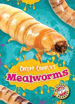 Creepy Crawlies - Mealworms