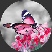 Behangcirkel roze vlinder 100 cm | Wandecoratie | Wandcirkel