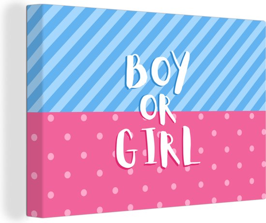 Canvas Schilderij Jongen - Meisje - Boy of Girl - Gender reveal - Spreuken - Zwanger - Baby - 30x20 cm - Wanddecoratie