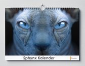 Calendrier d'anniversaire Sphynx chat nu | 35X24CM | Calendrier d'anniversaire chats | Espèce de chat Sphynx nu