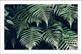 Walljar - Fern Leaves - Muurdecoratie - Poster