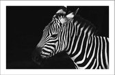 Walljar - Zebra - Dieren poster met lijst