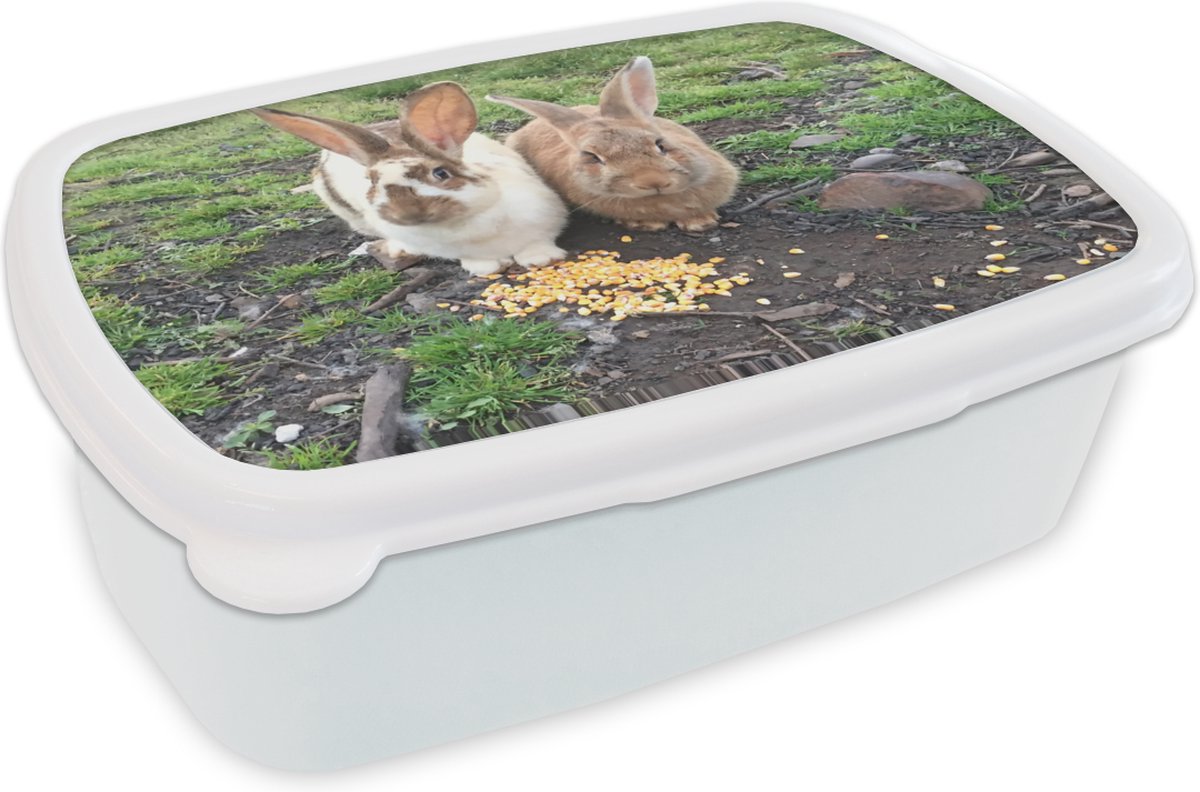 Broodtrommel Wit - Lunchbox - Brooddoos - Twee konijnen met voedsel - 18x12x6 cm - Volwassenen