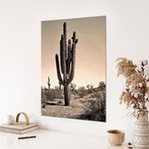 Akoestische panelen - Geluidsisolatie - Akoestische wandpanelen - Akoestisch schilderij AcousticBudget® - paneel met cactus in woestijn - design 153 - 50x70 - Wanddecoratie - woonk