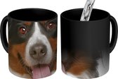 Magische Mok - Foto op Warmte Mok - Berner Sennenhond - 350 ML