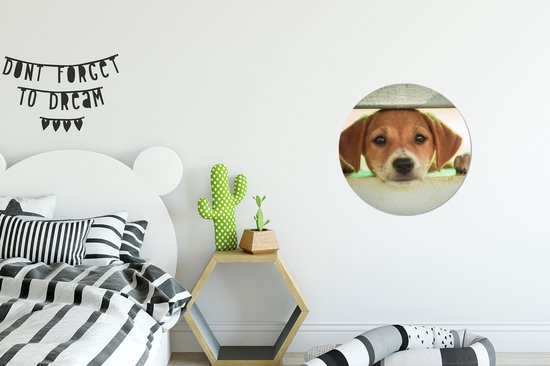 WallCircle - Wall Circle - Wall Circle Inside - Un chiot regarde à travers une clôture - 30x30 cm - Décoration murale - Peintures ronds