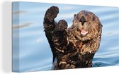 Canvas Schilderij Otter in het water - 80x40 cm - Wanddecoratie