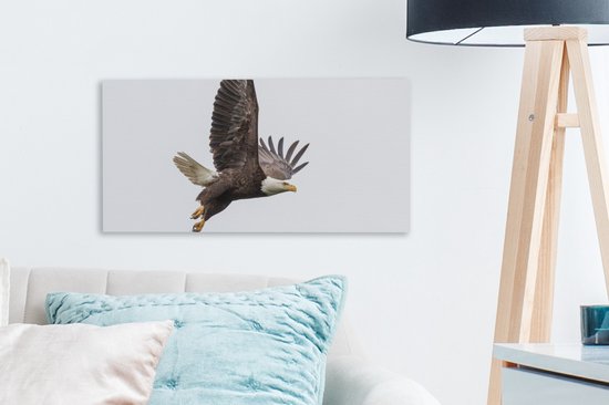 Toile Peinture Aigle de Mer - Vogel - Amérique - 40x20 cm - Décoration murale