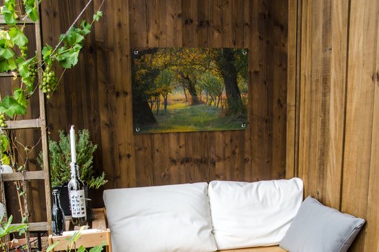 Tableau de jardin Paysage verdoyant en été en Roumanie - 80x60 cm - Poster jardin