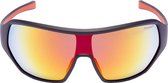 Formule 1 eyewear zonnebril - F1S1029