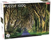 Tactic Dark Hedges in Northern Ireland 1000 Stukjes