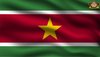 Partychimp Surinaamse Vlag Suriname - 90x150 Cm - Polyester - Groen/Rood/Wit