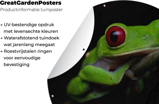 Tuincirkel Roodoogmakikikker op zwarte achtergrond - 150x150 cm - Ronde Tuinposter - Buiten