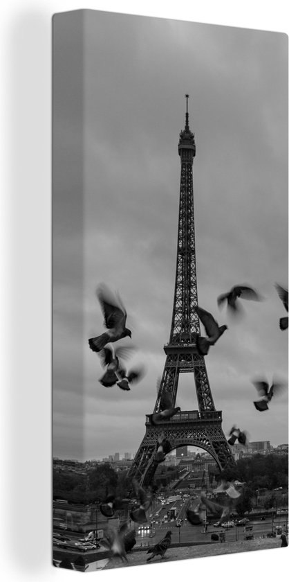 Canvas Schilderij Vogels voor de Eiffeltoren - Wanddecoratie